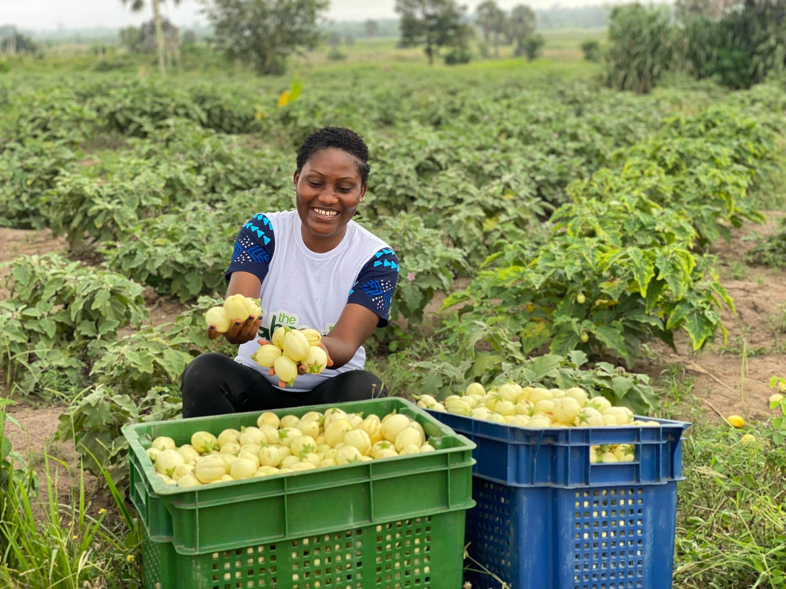 Addressing Local Food Security Challenges